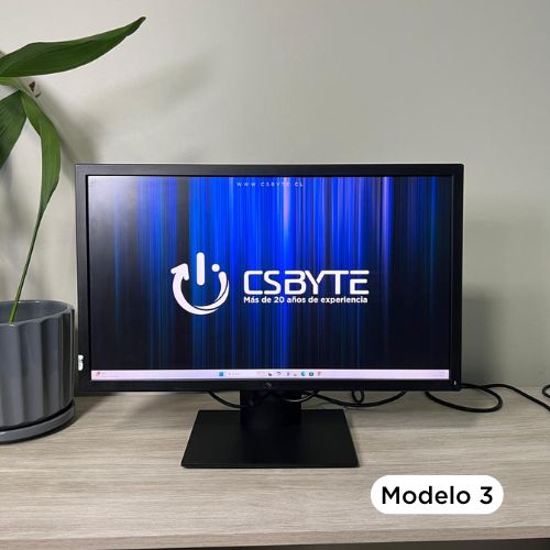 Monitor 24" Dell Genérico (varios modelos VGA/DisplayPort) Reacondicionado