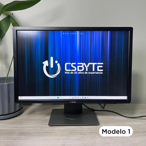 Monitor 24" Dell Genérico (varios modelos VGA/DisplayPort) Reacondicionado