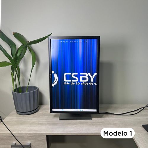 Monitor 24" Dell Genérico (varios modelos VGA/DisplayPort) Reacondicionado