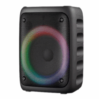 Parlante Portátil, AudioPro, AP02085, 20W RMS con Batería